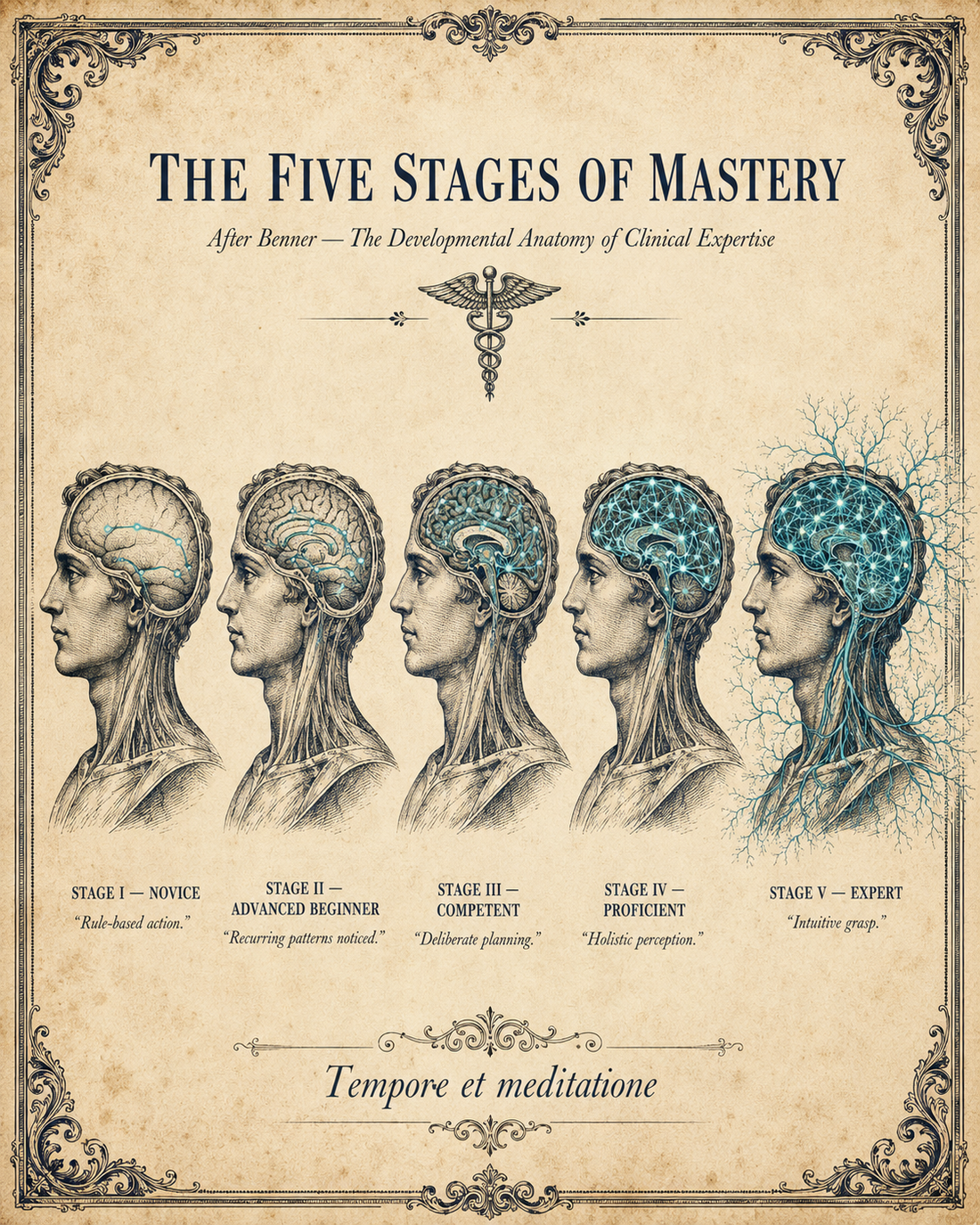 Benner's 5 Stages of Nursing Theory + The CR4 Framework | Think Like a Provider